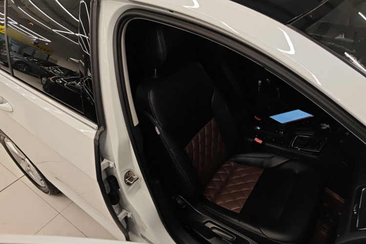 大众 高尔夫 2017款 230TSI 自动舒适百万辆纪念版局部细节41