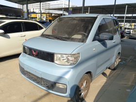 五菱汽车 宏光MINIEV 2020款 自在款 磷酸铁锂