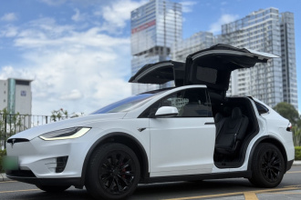特斯拉 Model X 2019款 长续航版