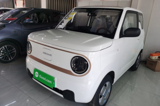 吉利银河 2024款 熊猫mini 200km 耐力熊