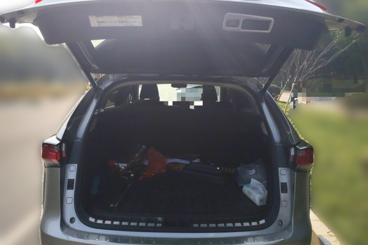 雷克萨斯NX 2016款 200 全驱 锋尚版中控内饰23