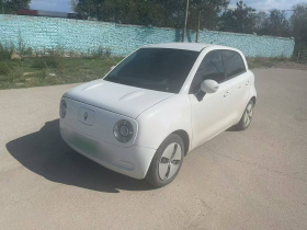 欧拉黑猫 2022款 改款 301km 萌宠版 磷酸铁锂