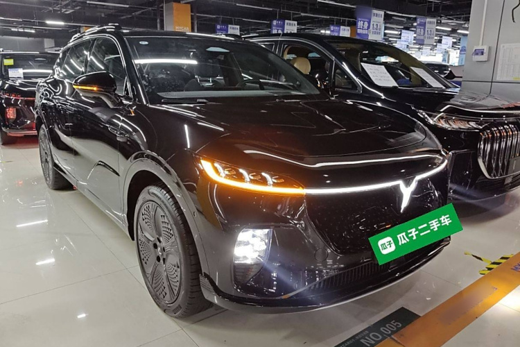 岚图汽车 岚图知音 2024款 四驱全球版车身外观6002