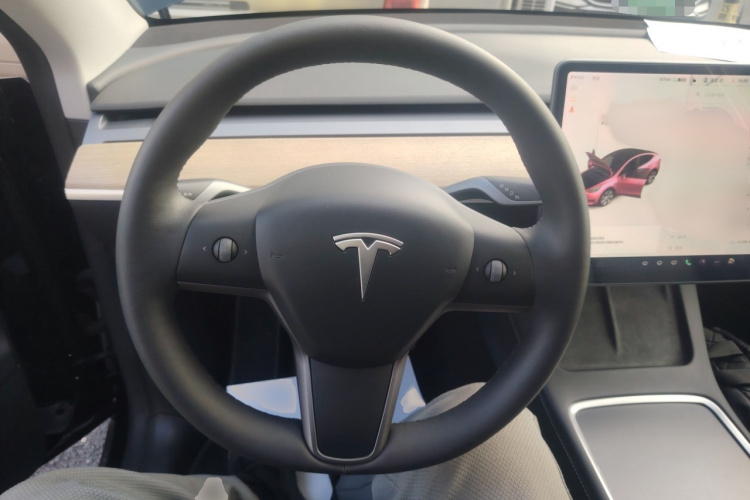 特斯拉 Model Y 2021款 长续航全轮驱动版 3D7局部细节13