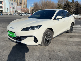 比亚迪 海豹06新能源 2024款 DM-i 80KM尊贵型