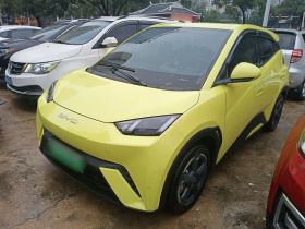 比亚迪 海鸥 2023款 飞翔版