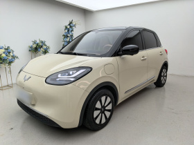 五菱汽车 五菱缤果 2025款 333km 灵犀尊享款