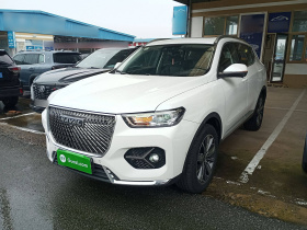 哈弗H6 2021款 1.5GDIT 自动超豪版