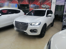 哈弗H6 2020款 2.0GDIT 自动铂金豪华版