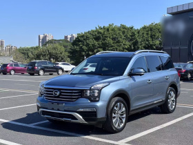 广汽传祺 传祺GS8 2017款 320T 两驱豪华智联版（七座）