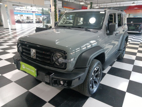 坦克300新能源 2025款 Hi4-T