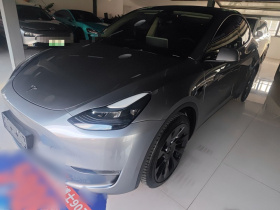 特斯拉 Model Y 2024款 长续航全轮驱动版