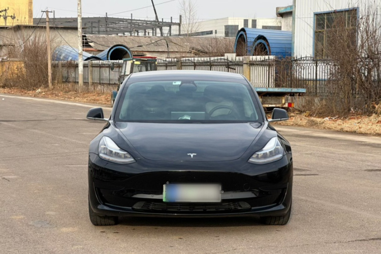 特斯拉 Model 3 2020款 改款 标准续航后驱升级版车身外观6001