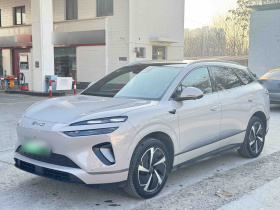 比亚迪 海狮06新能源 2025款 EV 605领航Pro版