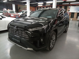 丰田 RAV4荣放 2024款 2.0L CVT两驱风尚Plus版