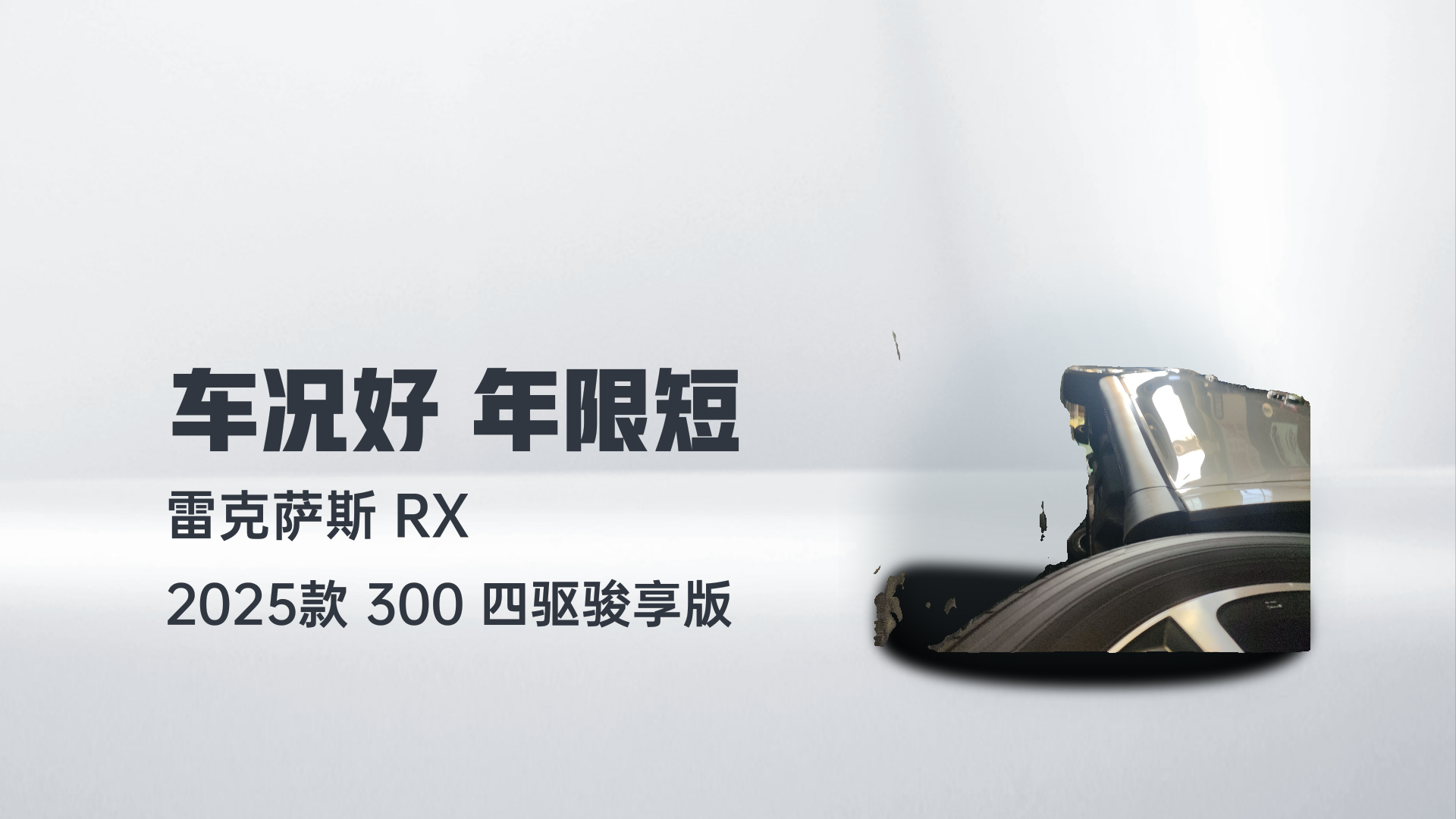 雷克萨斯RX 2025款 300 四驱骏享版解读1