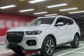 哈弗H6 2021款 1.5T 自动冠军版
