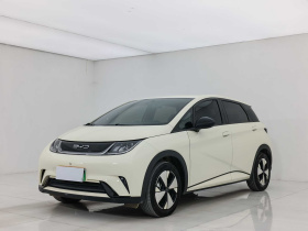 比亚迪 海豚 2023款 420km 自由版