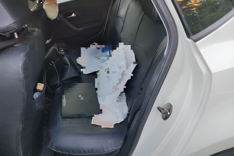 大众 Polo 2014款 1.6L 自动舒适版中控内饰21