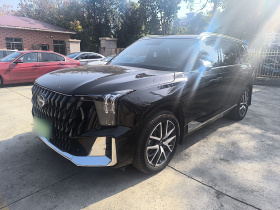 广汽传祺 传祺GS8 2022款 双擎系列 2.0TM 两驱尊贵版 （七座）