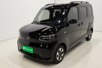 五菱汽车 五菱之光新能源 2025款 305km 进取型