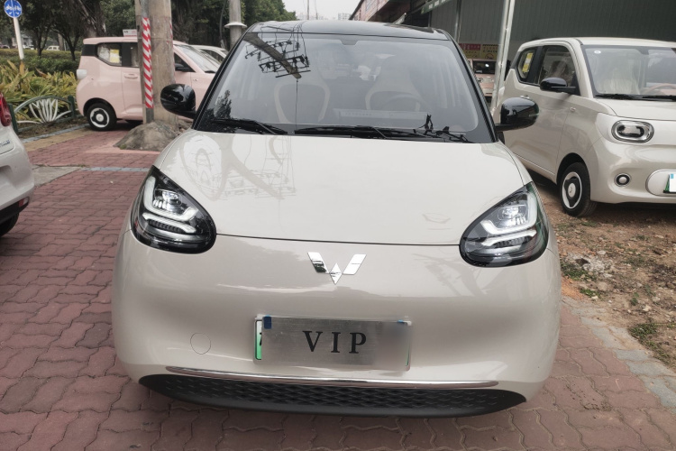 五菱汽车 五菱缤果 2024款 333km 悦享款车身外观2