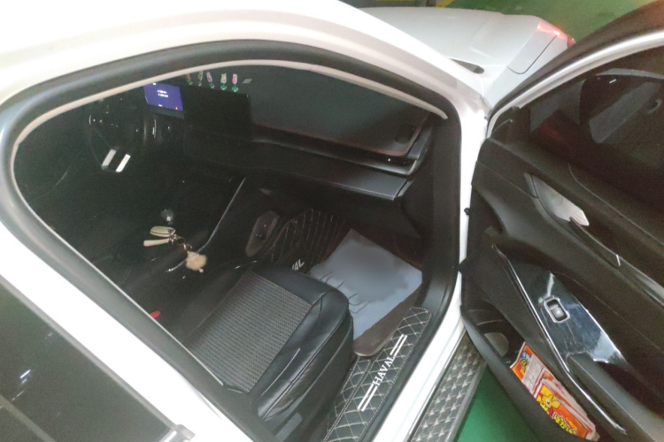 哈弗H6 2021款 第三代 1.5T 自动两驱Pro局部细节9005