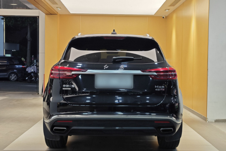 红旗HS5 2019款 2.0T 智联旗享四驱版车身外观6005