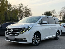 广汽传祺 传祺M8 2018款 320T 旗舰版