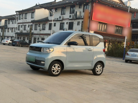 五菱汽车 宏光MINIEV 2020款 自在款 磷酸铁锂