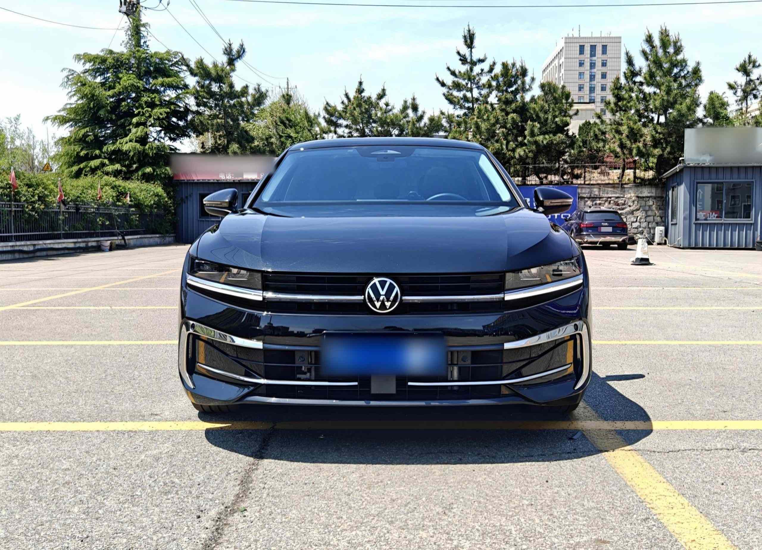 大众 迈腾 2024款  300TSI DSG尊享版显眼包(1)