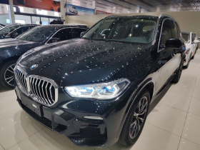 宝马X5(进口) 2021款 改款 xDrive40i M运动套装