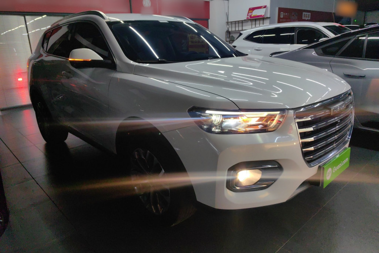 哈弗H6 2020款 1.5GDIT 自动铂金冠军版车身外观6002