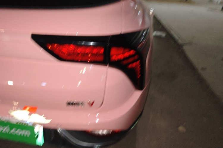 哪吒汽车 哪吒V 2022款 潮 400 Lite 粉色定制款车身外观9