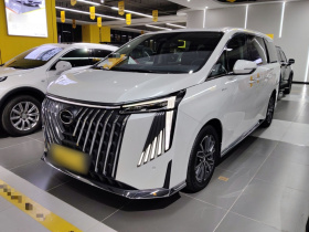 广汽传祺 传祺M8 2024款 大师系列 400T 至尊版