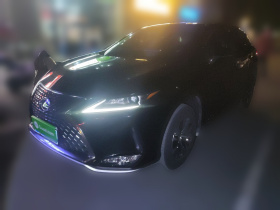 雷克萨斯RX 2020款 改款 300 两驱精英版