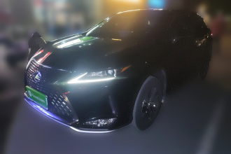 雷克萨斯RX 2020款 改款 300 两驱精英版