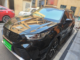 丰田 皇冠陆放 2022款 2.0T 四驱劲享版