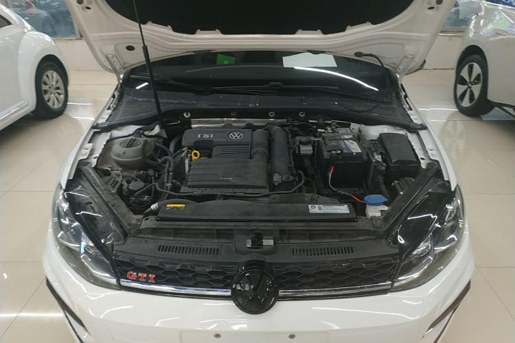 大众 高尔夫 2019款 280TSI DSG R-Line型 国VI机舱底盘24