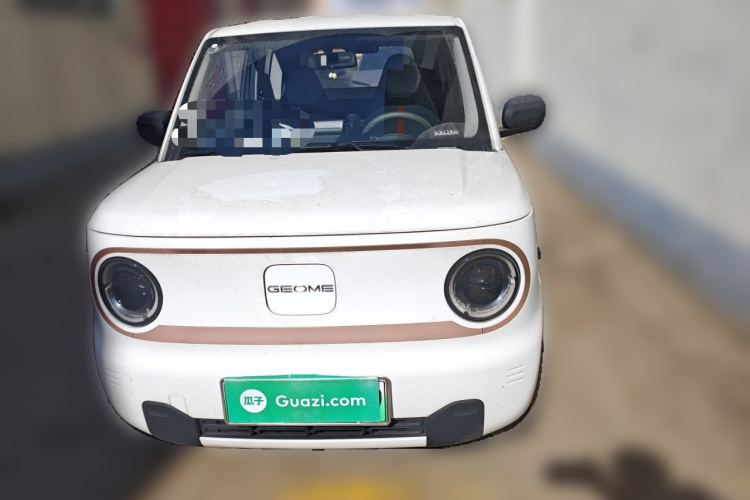 吉利银河 2024款 熊猫mini 200km 耐力熊车身外观6001