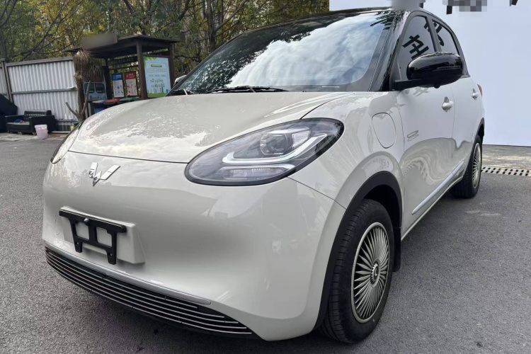 五菱汽车 五菱缤果 2024款 203km 轻享款车身外观6007