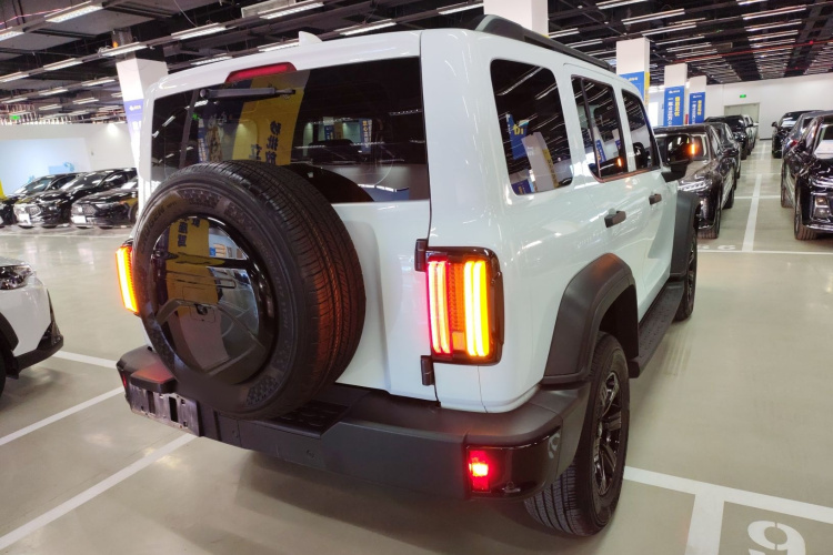 坦克300 2024款 2.0T 征服者车身外观6005