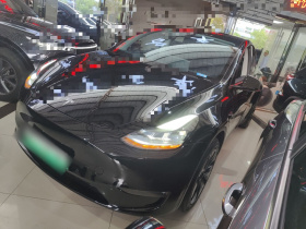 特斯拉 Model Y 2023款 长续航全轮驱动版