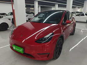特斯拉 Model Y 2022款 长续航全轮驱动版