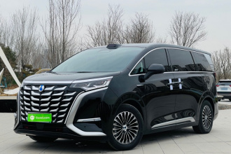 腾势D9 2025款 DM-i 智驾版 1020 四驱旗舰型