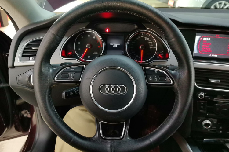 奥迪A5 2014款 Sportback 45 TFSI局部细节13