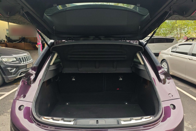 DS 6 2016款 1.6T 豪华版THP160局部细节23