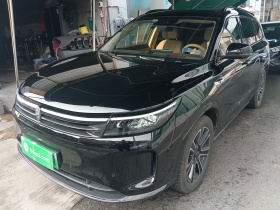 鸿蒙智行 问界M7 2024款 1.5T 智驾四驱Max版 5座