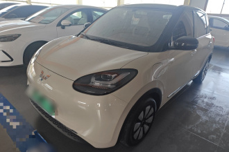 五菱汽车 五菱缤果 2024款 333km 悦享款