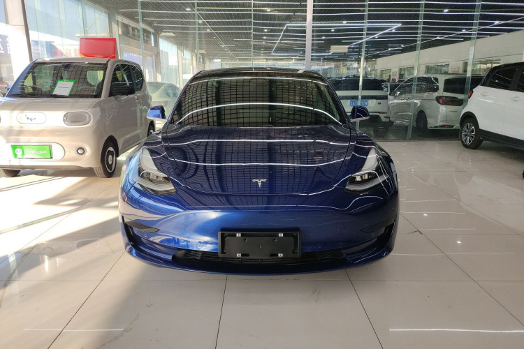 特斯拉 Model 3 2019款 标准续航后驱升级版车身外观6001